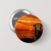 Labrador Retriever Hund sitzend neben Sonnenunterg Button (Vorne & Hinten)