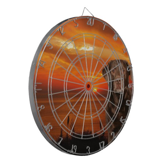 Labrador Retriever Hund sitzend neben Sonnenunterg Dartscheibe (Vorderseite Links)