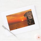 Labrador Retriever Hund sitzend neben Sonnenunterg Rechteckiger Aufkleber (Umschlag)