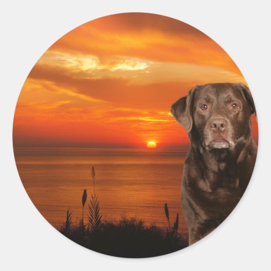 Labrador Retriever Hund sitzend neben Sonnenunterg Runder Aufkleber (Vorderseite)