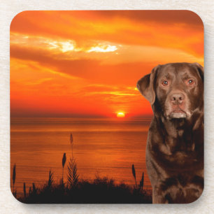 Labrador Retriever Hund sitzend neben Sonnenunterg Untersetzer