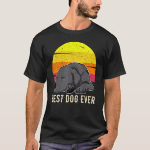Labrador Retriever Hund Sonnenuntergang 59 T-Shirt