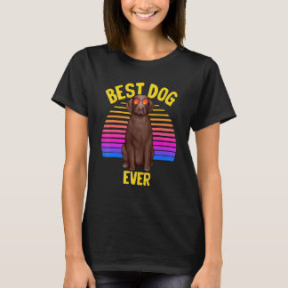 Labrador Retriever Hund Süß Retro Bester Hund über T-Shirt