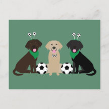 Labrador Retriever Hunde spielen Fußball