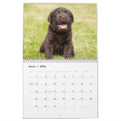 Labrador retriever-Hundekalender - kundengerecht Kalender (Mär 2026)