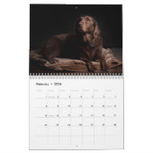 Labrador retriever-Hundekalender - kundengerecht Kalender (Feb 2026)