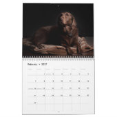 Labrador retriever-Hundekalender - kundengerecht Kalender (Feb 2027)