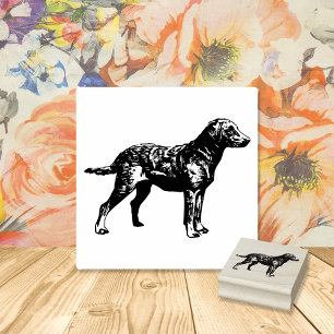 Labrador Retriever Hundezucht Gummistempel
