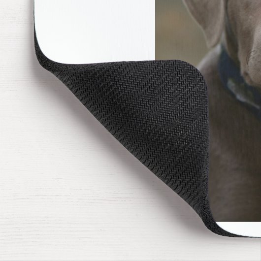 Labrador retriever im seltenen hellen Silber Mousepad (Ecke)