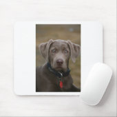 Labrador retriever im seltenen hellen Silber Mousepad (Mit Mouse)