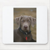 Labrador retriever im seltenen hellen Silber Mousepad (Vorne)