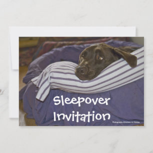 Labrador Retriever in Bed Einladung