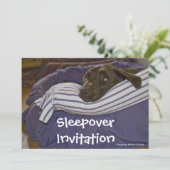 Labrador Retriever in Bed Einladung (Stehend Vorderseite)