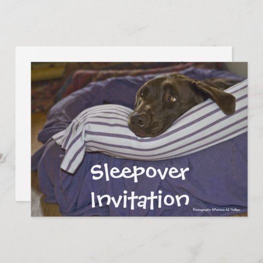 Labrador Retriever in Bed Einladung (Vorne/Hinten)