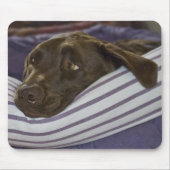 Labrador Retriever in Bed Mousepad (Vorne)