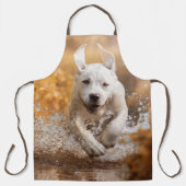 Labrador Retriever in der Schürze des Flusses (Vorderseite)