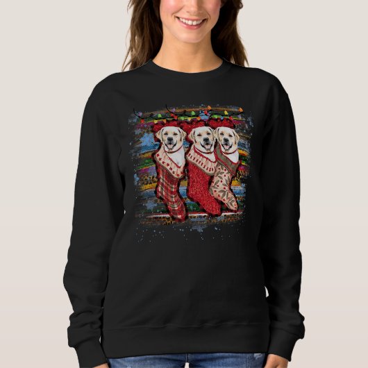Labrador Retriever in Socken Dock Sweatshirt (Vorderseite)