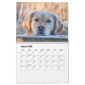 Labrador Retriever Kalender (Feb 2026)