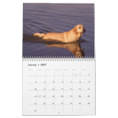 Labrador retriever-Kalender 2010 Kalender (Jan 2027)