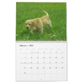 Labrador retriever-Kalender 2010 Kalender (Feb 2027)