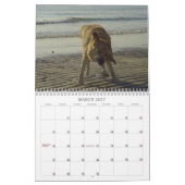 Labrador retriever-Kalender 2011 Kalender (Mär 2027)