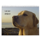 Labrador retriever-Kalender 2011 Kalender (Titelbild)
