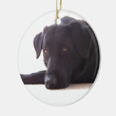 labrador retriever keramikornament (Links)
