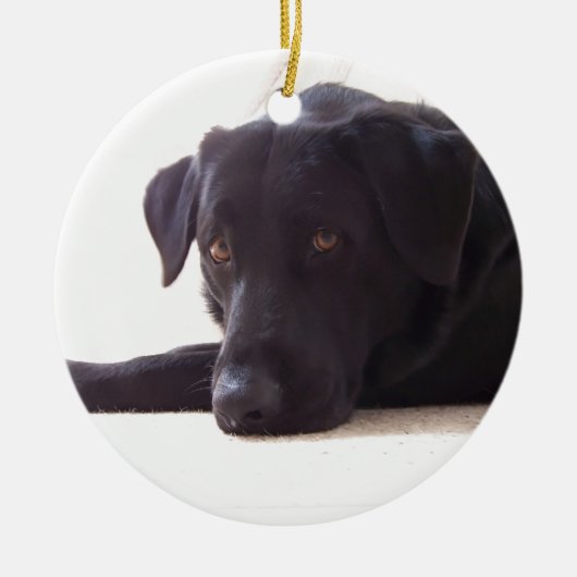 labrador retriever keramikornament (Vorne)