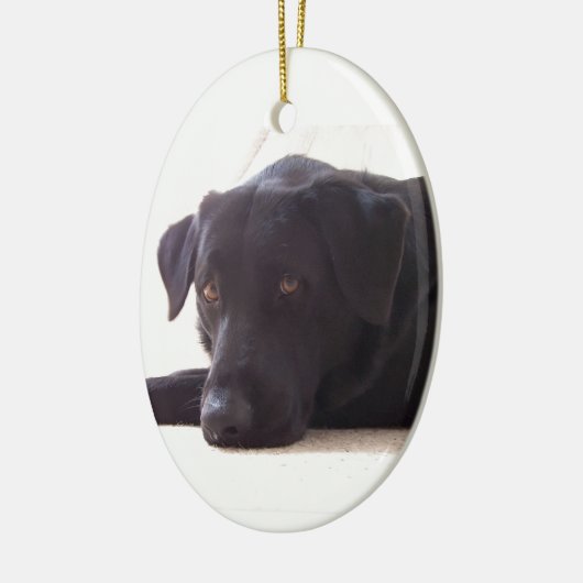 labrador retriever keramikornament (Links)