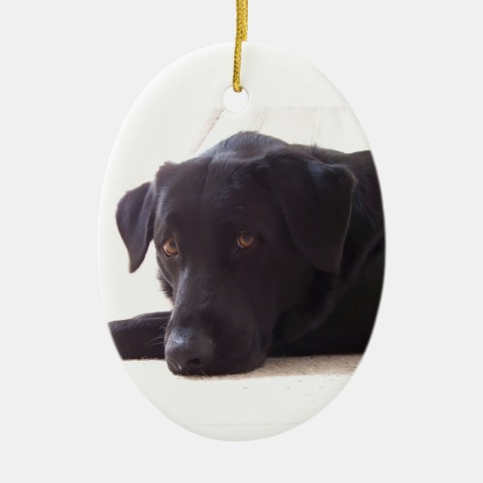 labrador retriever keramikornament (Vorne)