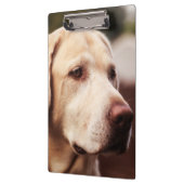 Labrador retriever klemmbrett (Links)