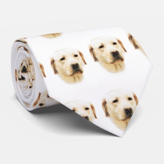 Labrador retriever krawatte (Gerollt)