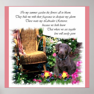 Labrador Retriever Kunstgeschenke Poster