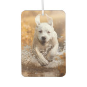 Labrador Retriever läuft in River Air Freshener Autolufterfrischer (Vorderseite)
