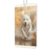 Labrador Retriever läuft in River Air Freshener Autolufterfrischer (Links)
