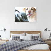Labrador Retriever Leinwanddruck (Insitu (Schlafzimmer))