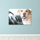 Labrador Retriever Leinwanddruck (Insitu (Holzboden))
