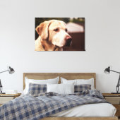 Labrador Retriever Leinwanddruck (Insitu (Schlafzimmer))