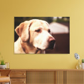Labrador Retriever Leinwanddruck (Insitu (Wohnzimmer))