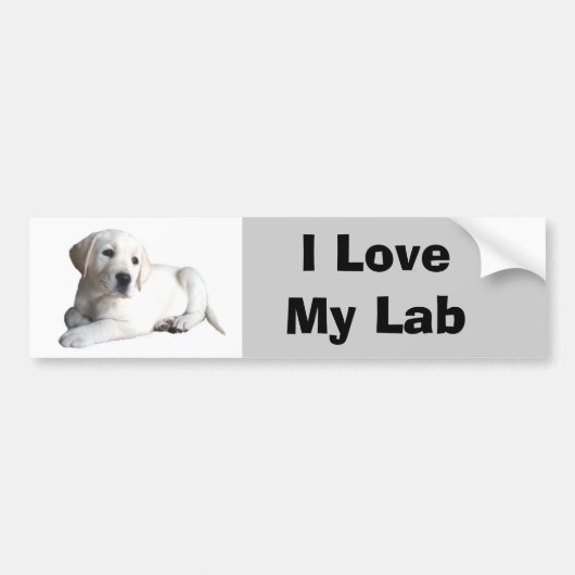 Labrador-Retriever-Liebe-Autoaufkleber Autoaufkleber (Vorne)