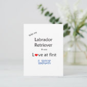 Labrador Retriever Liebe in First Lick Postkarte (Stehend Vorderseite)