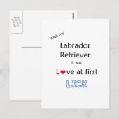Labrador Retriever Liebe in First Lick Postkarte (Vorne/Hinten)