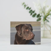 Labrador Retriever Lorenzo Postkarte (Stehend Vorderseite)