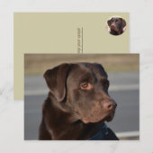 Labrador Retriever Lorenzo Postkarte (Vorne/Hinten)