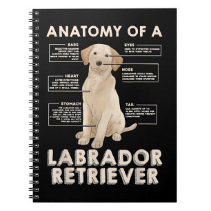 Labrador Retriever Lover Funny Anatomie eines Labr Notizblock