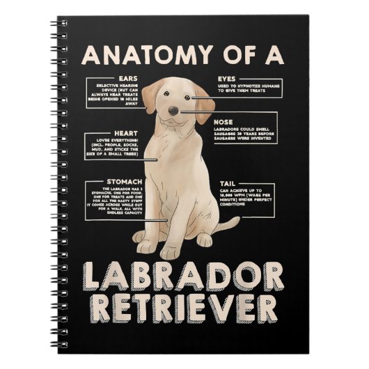 Labrador Retriever Lover Funny Anatomie eines Labr Notizblock (Vorderseite)