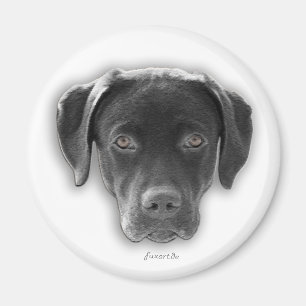 Labrador Retriever Magnet