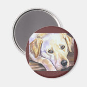 Labrador Retriever Magnete Magnet (Vorderseite/Rückseite)