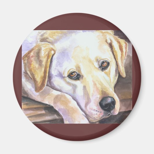 Labrador Retriever Magnete Magnet (Vorne)