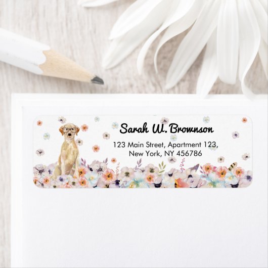 Labrador Retriever mit Brille (Insitu)